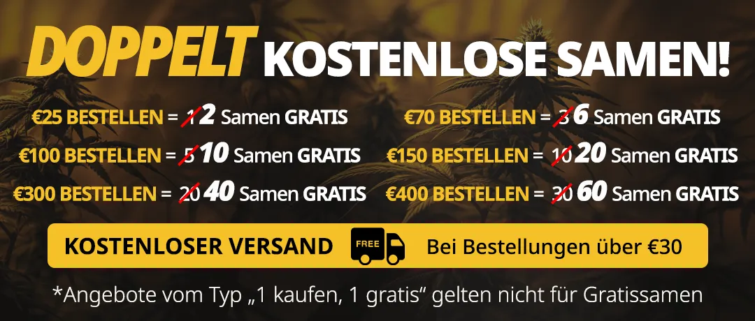 Banner Mobile