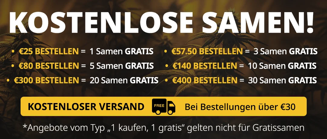 Banner Mobile