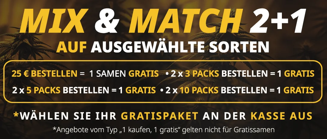 Banner Mobile
