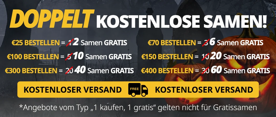 Banner Mobile
