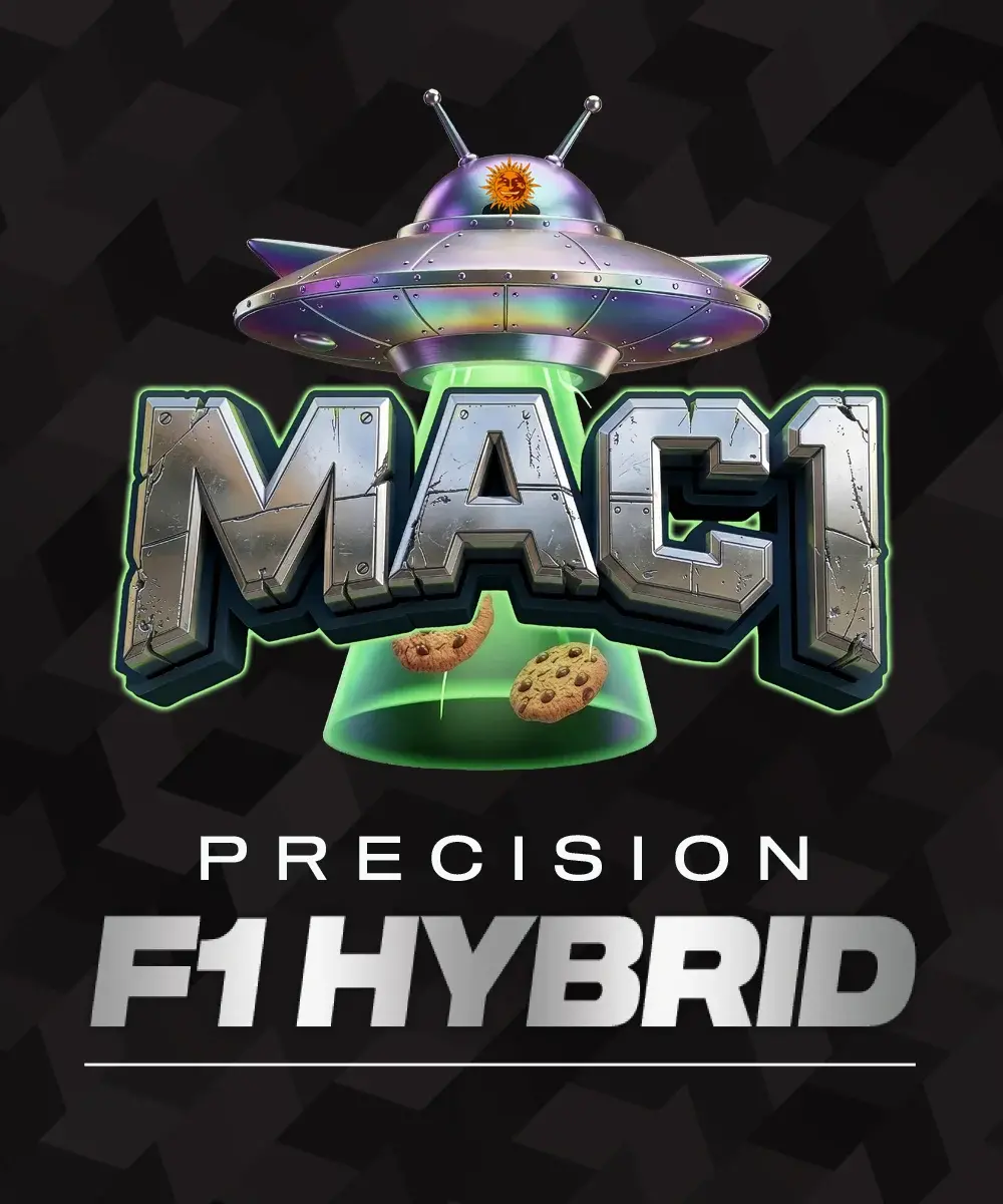MAC 1