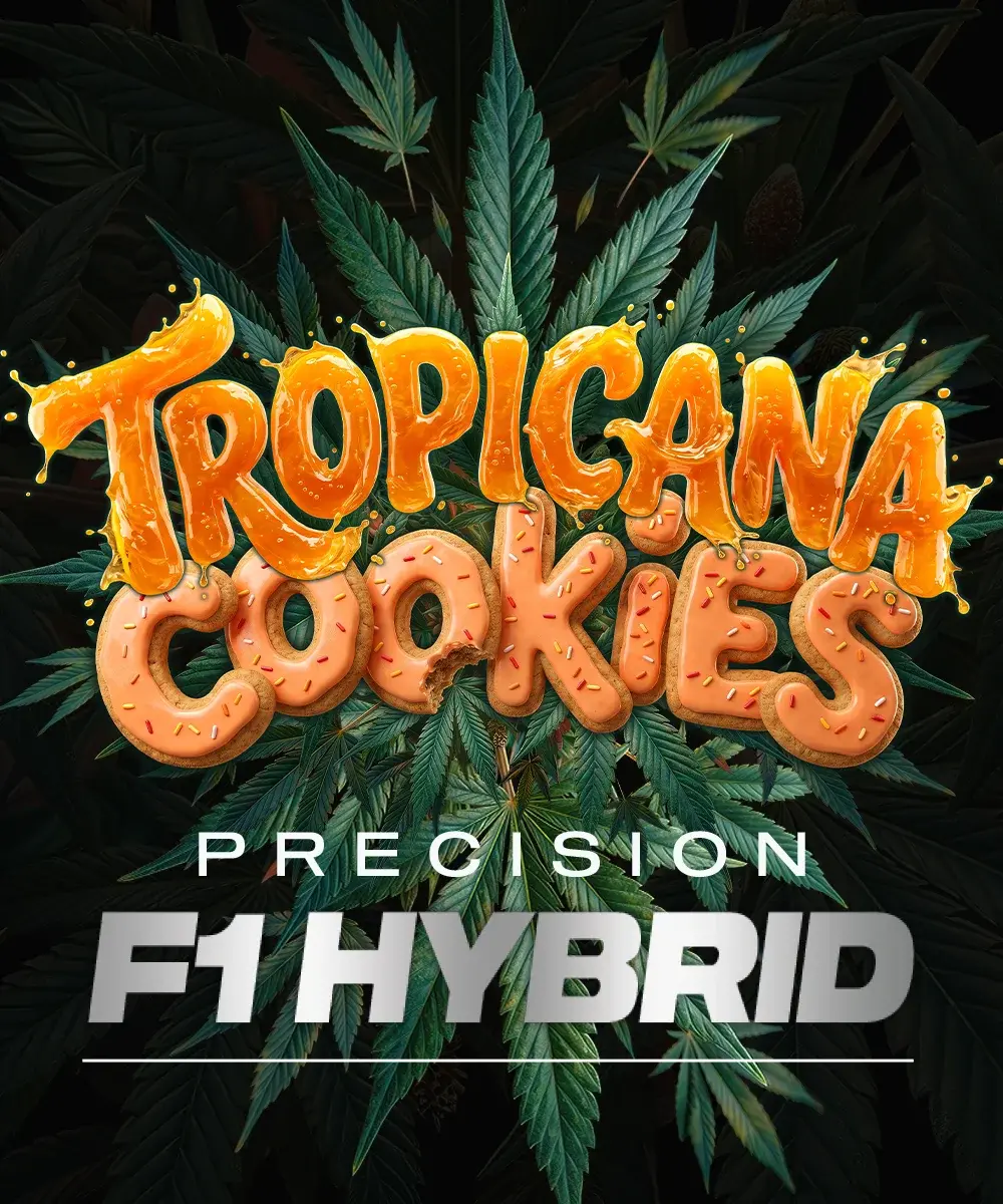 Tropicana Cookies Auto