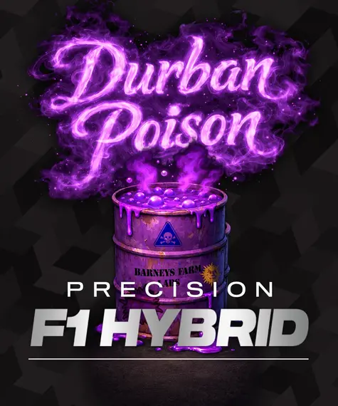 Durban Poison