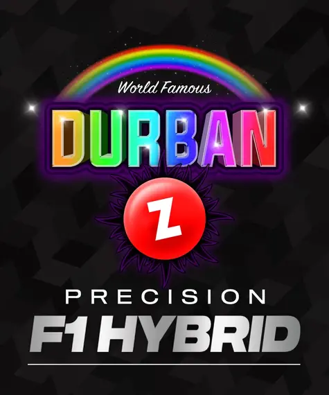Durban Z Strain