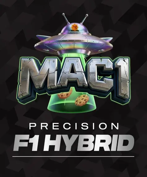 MAC 1