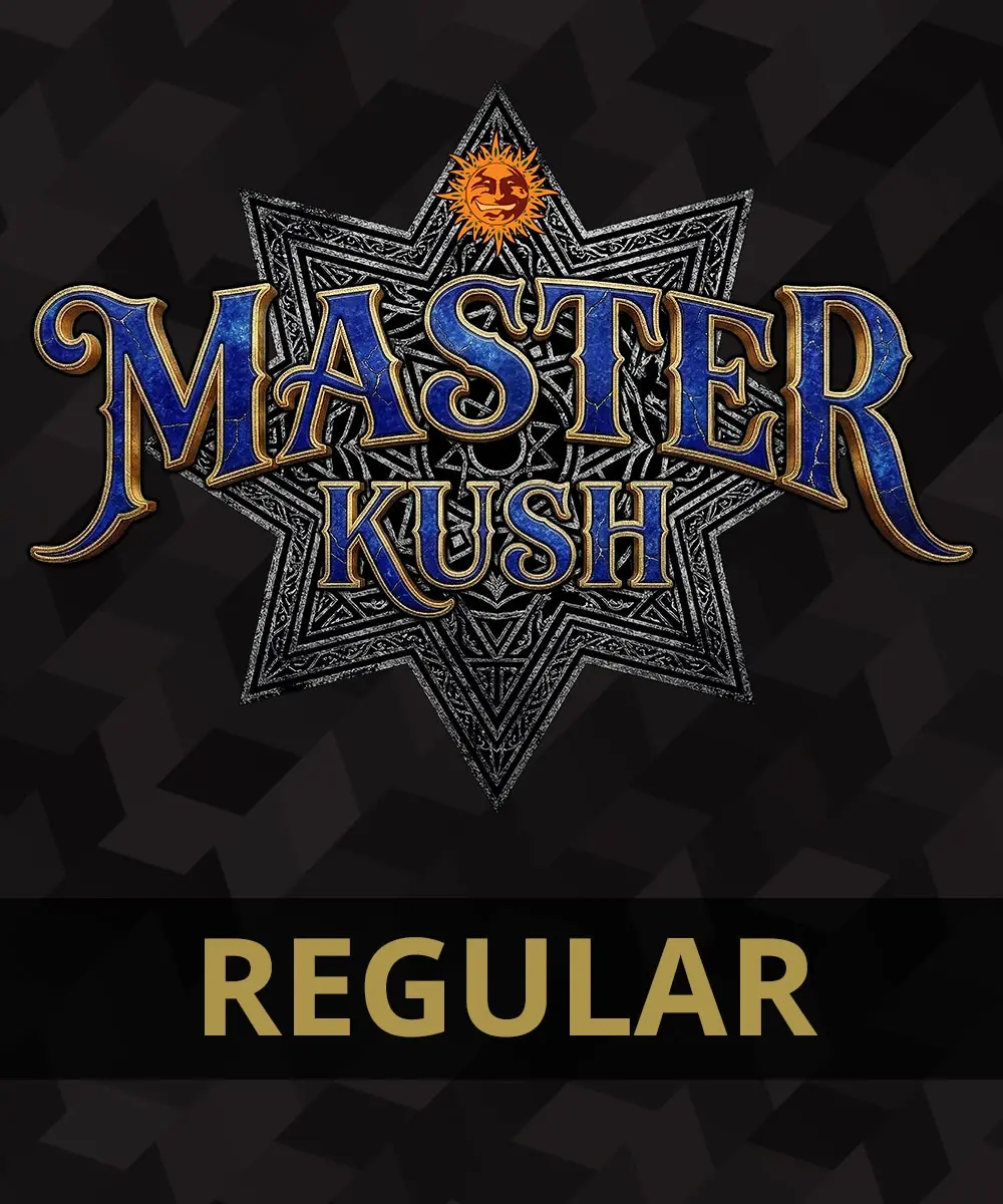 Master Kush - Regular 4