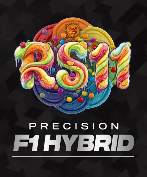 RS11
