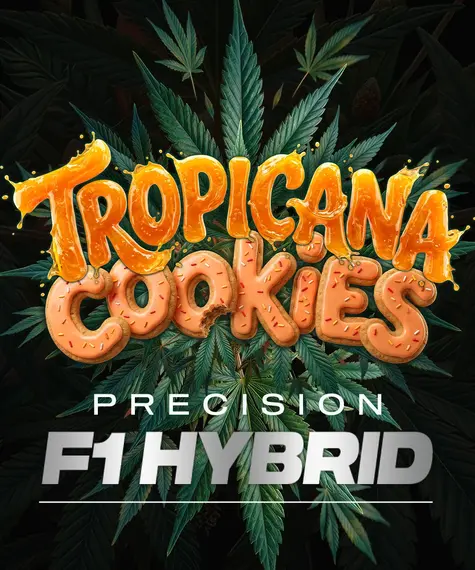 Tropicana Cookies Auto